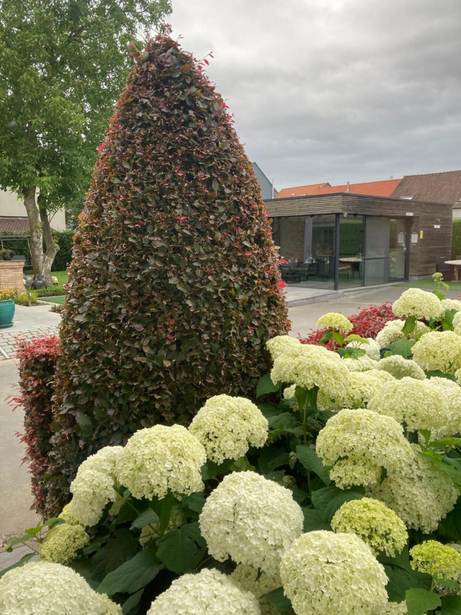 Natuur Bed & Breakfast 4*